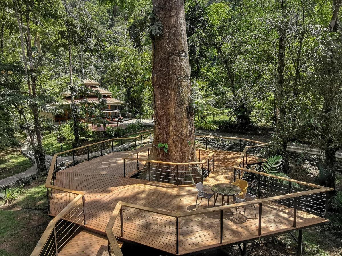 Pacuare Lodge By Boeena Limon Exteriér fotografie